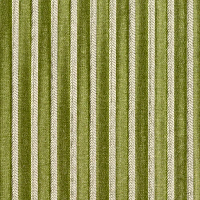 2613 Fern/Stripe