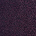 2744 Eggplant