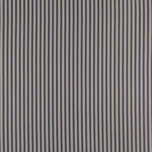 4365 Wedgewood Stripe
