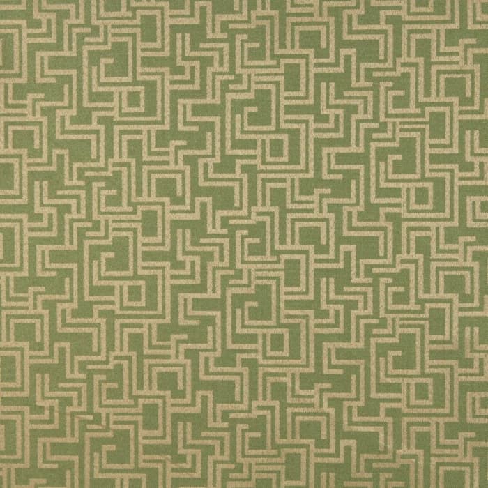 6634 Fern/Geometric