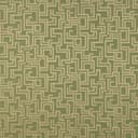 6634 Fern/Geometric