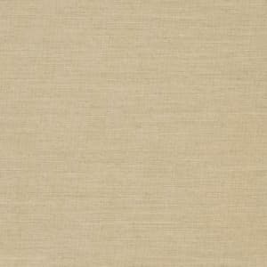 D1007 Linen