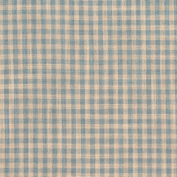 D118 Cornflower Gingham