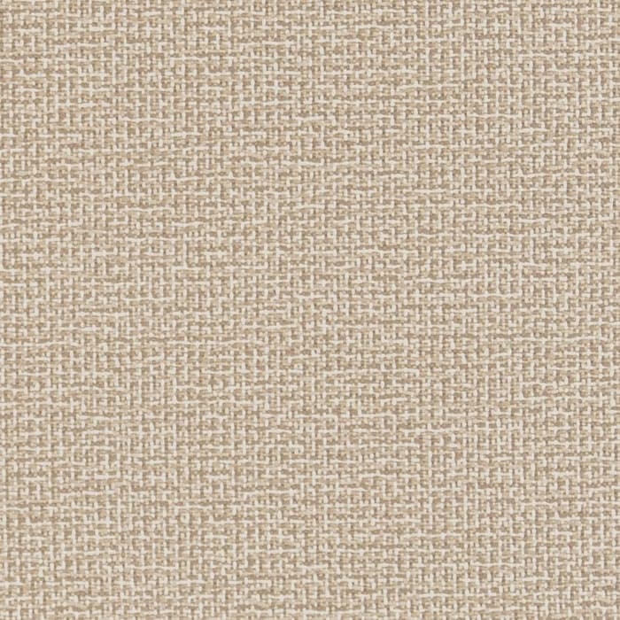 D1446 Sandstone Texture