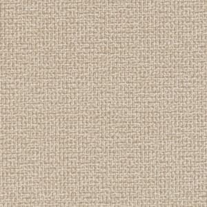 D1446 Sandstone Texture