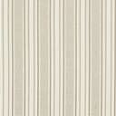 D1540 Champagne Stripe