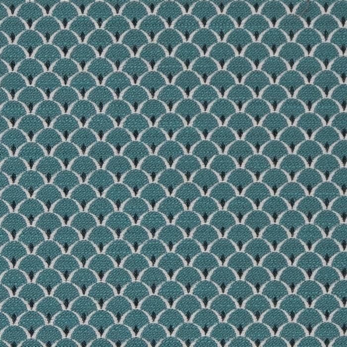 D2139 Aqua Scales