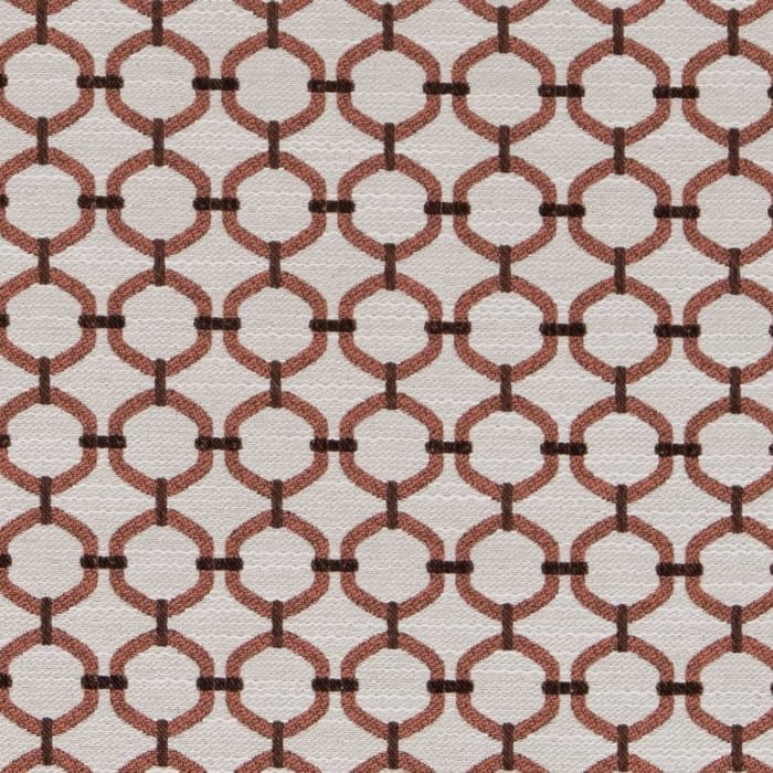 D2171 Salmon Lattice