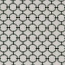 D2176 Spring Lattice