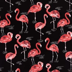 D2730 Flamingo
