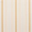 D300 Antique Noble Stripe