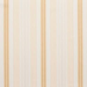 D300 Antique Noble Stripe