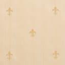 D310 Antique Medallion