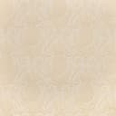 D3573 Cream Pineapple