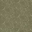 D3584 Olive Paisley