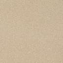 D4685 Beige