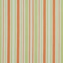 D989 Catalina Stripe