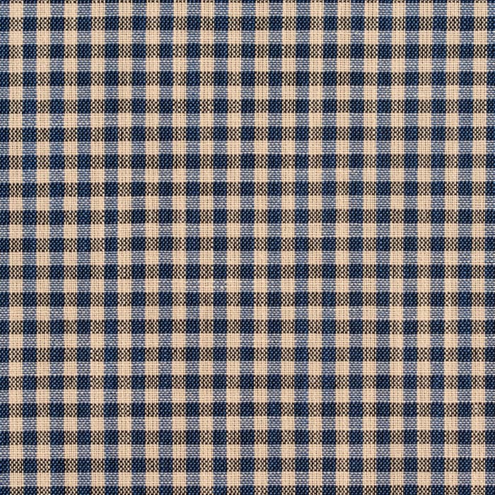 R202 Indigo Gingham
