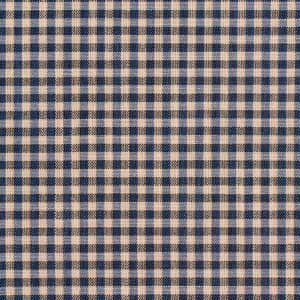 R202 Indigo Gingham