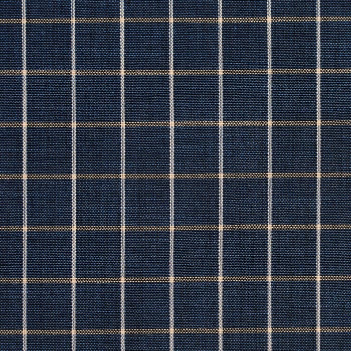 R204 Indigo Checkerboard