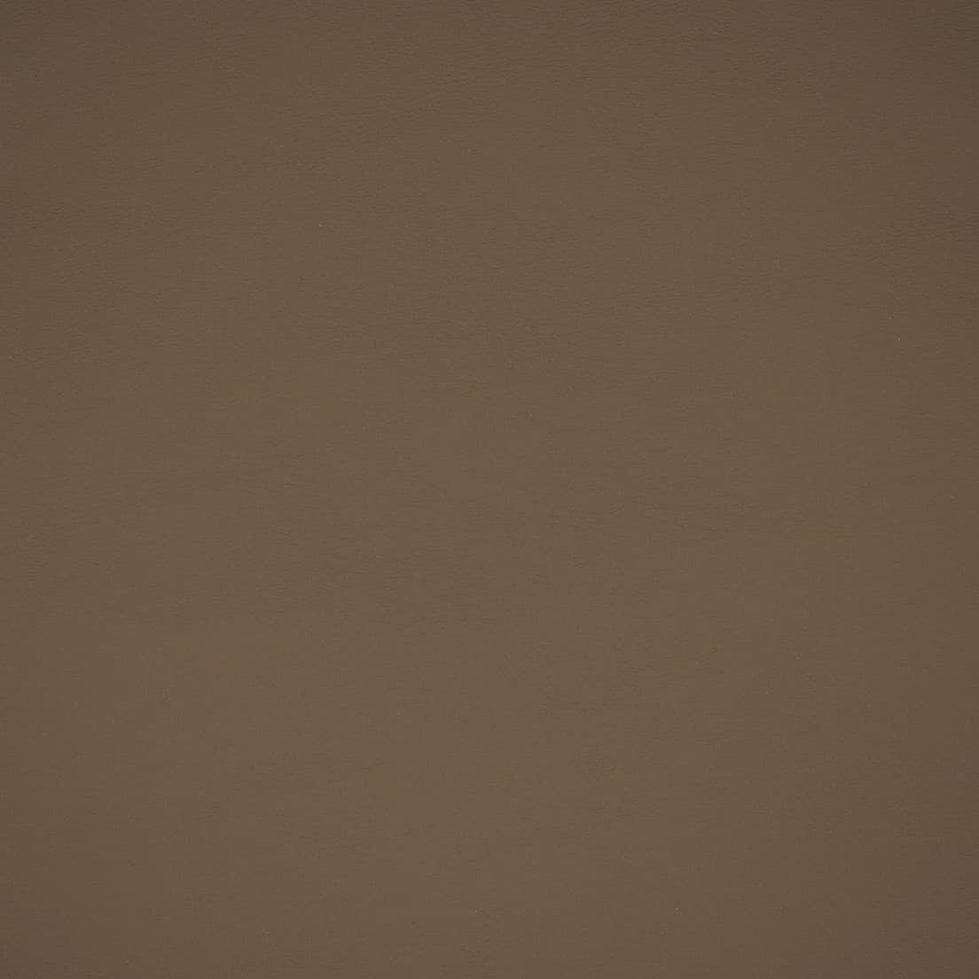 73666 Medium Neutral