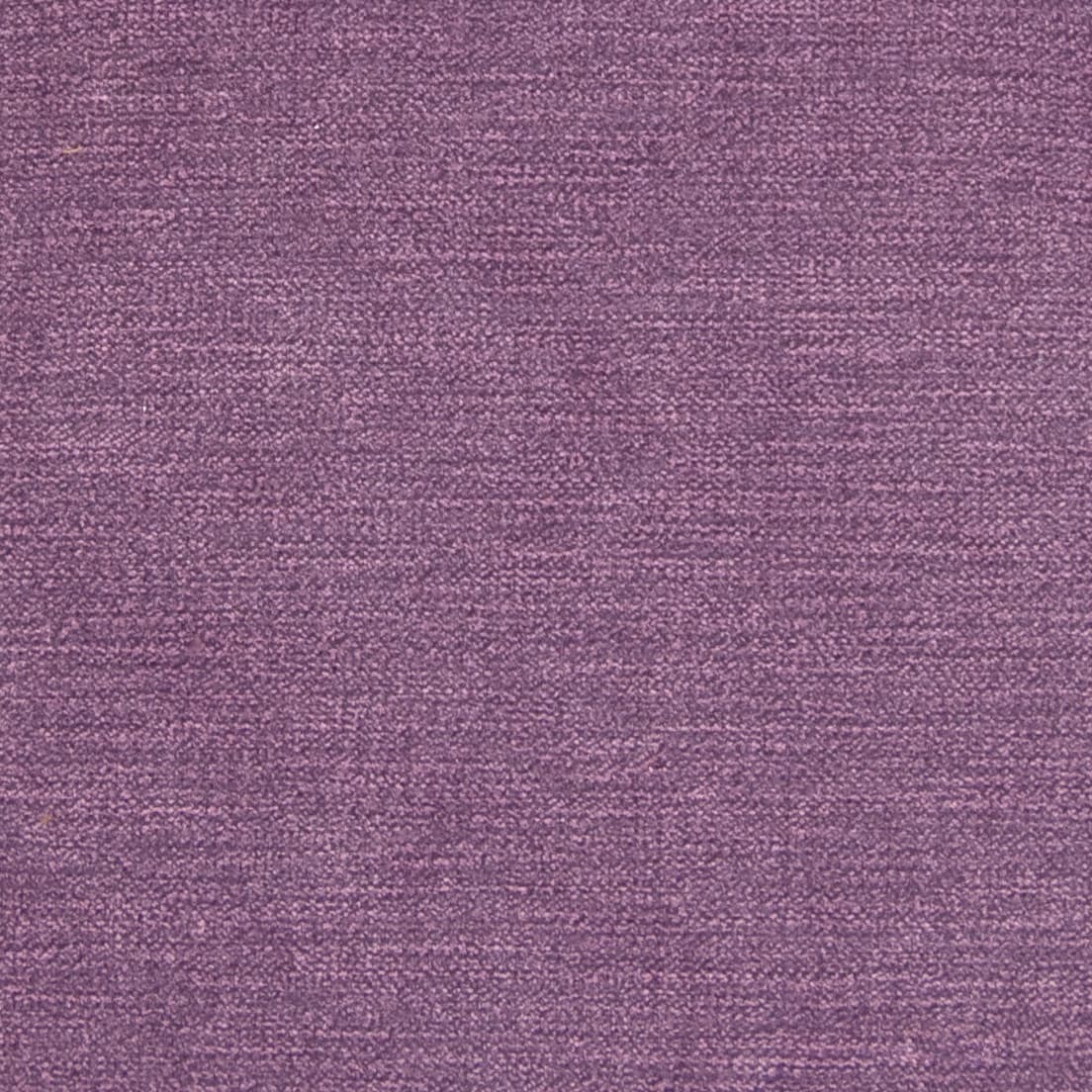 B1250 Aubergine