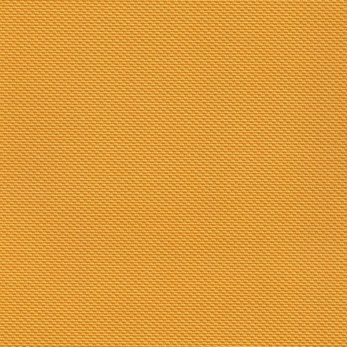 B5255 Trexx Metallic Nectar