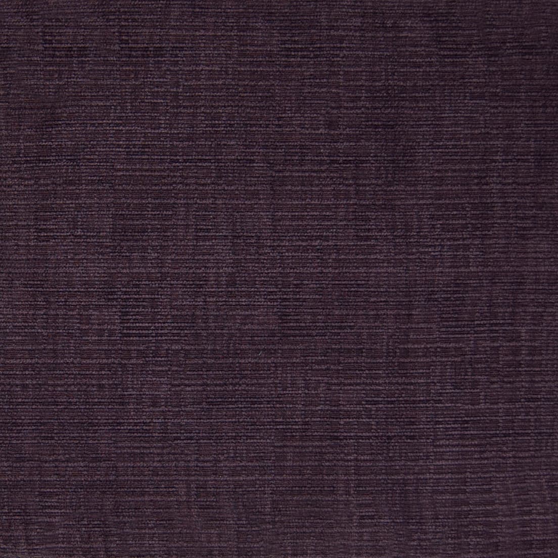 F1139 Aubergine