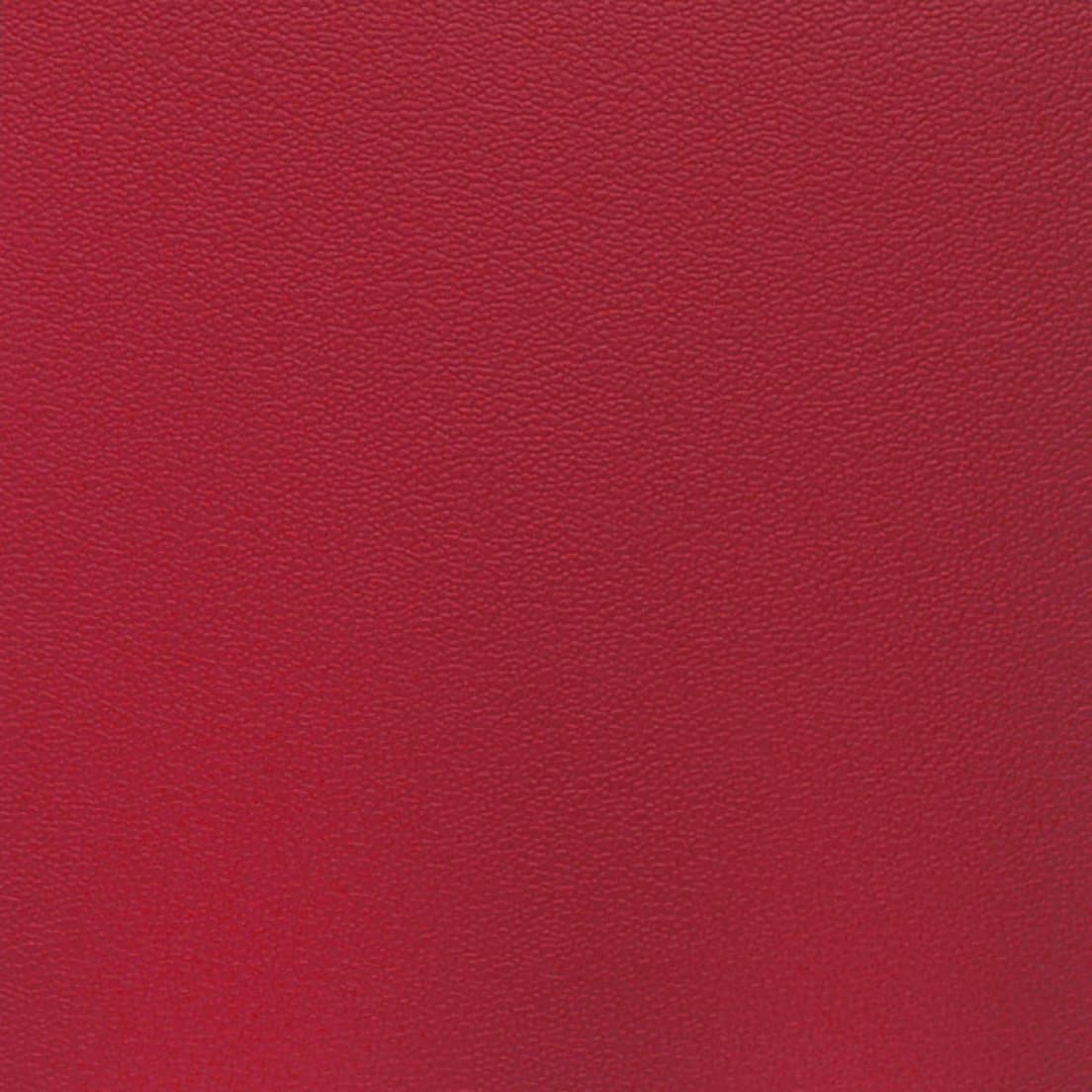 F5000 American Beauty