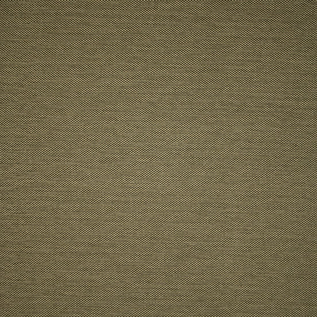 F5469 Sisal