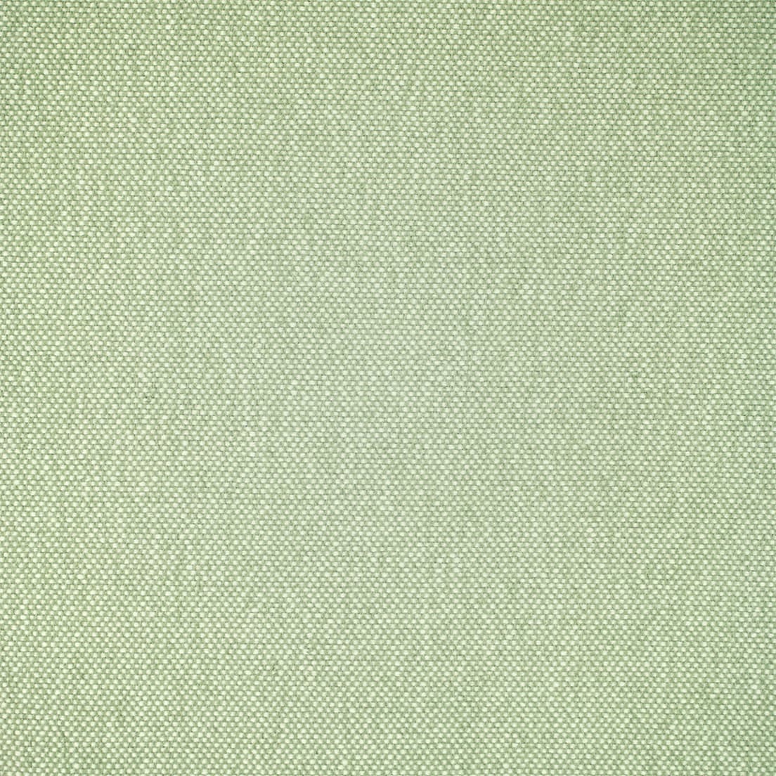 F5483 Celadon