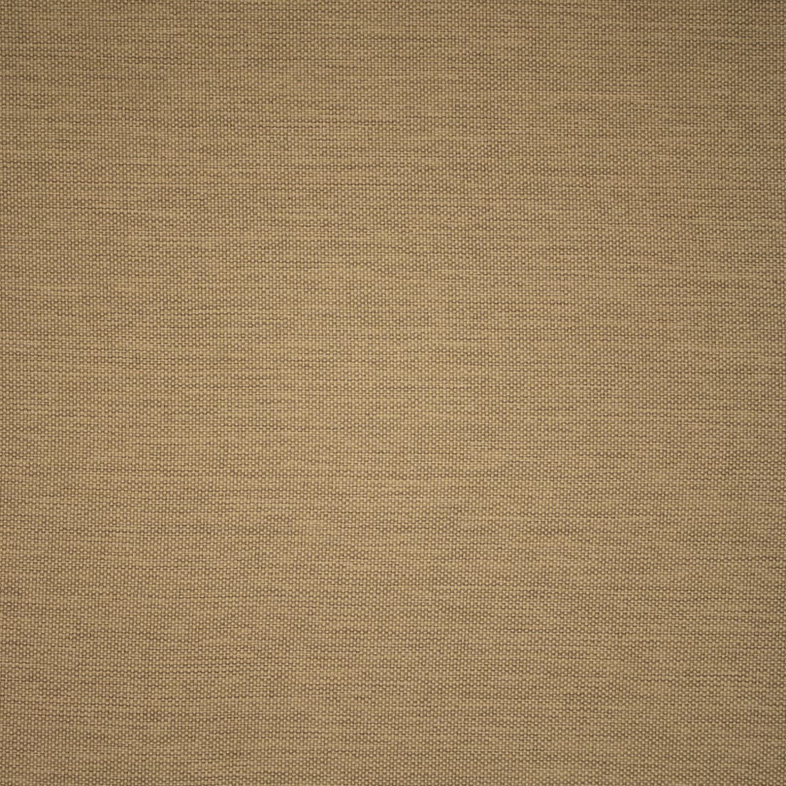 F5548 Sisal