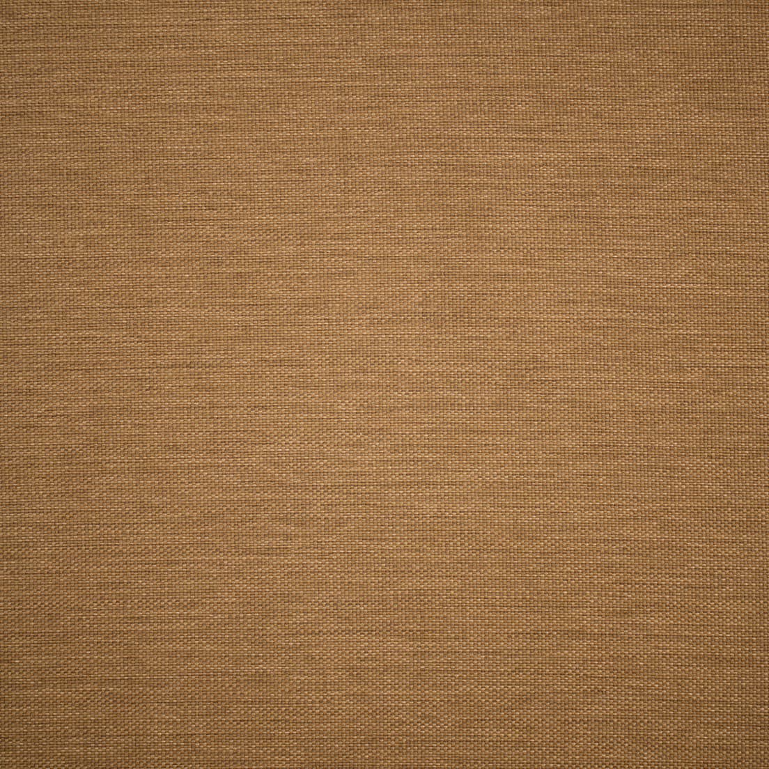 F5556 Sisal