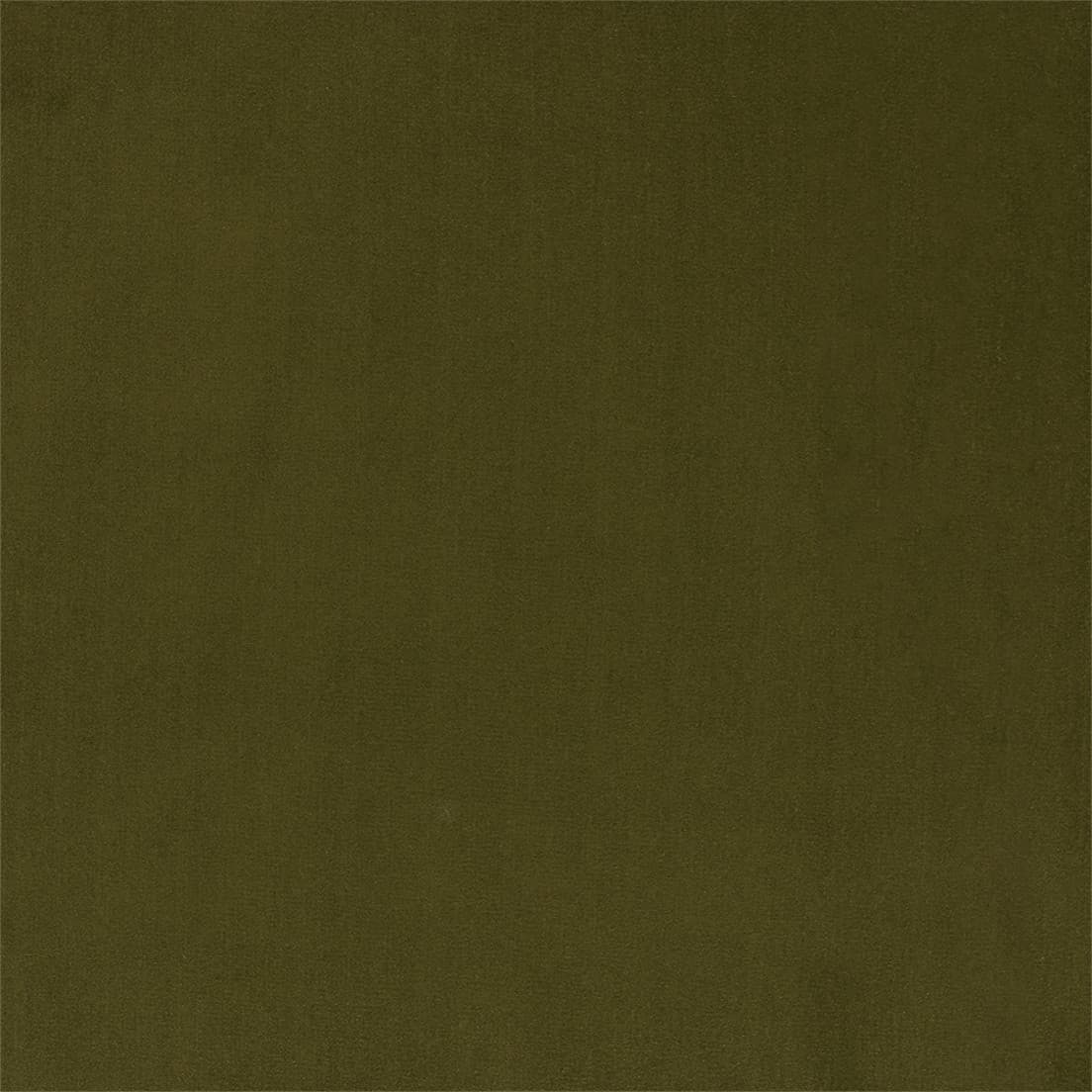 F6136 Olive