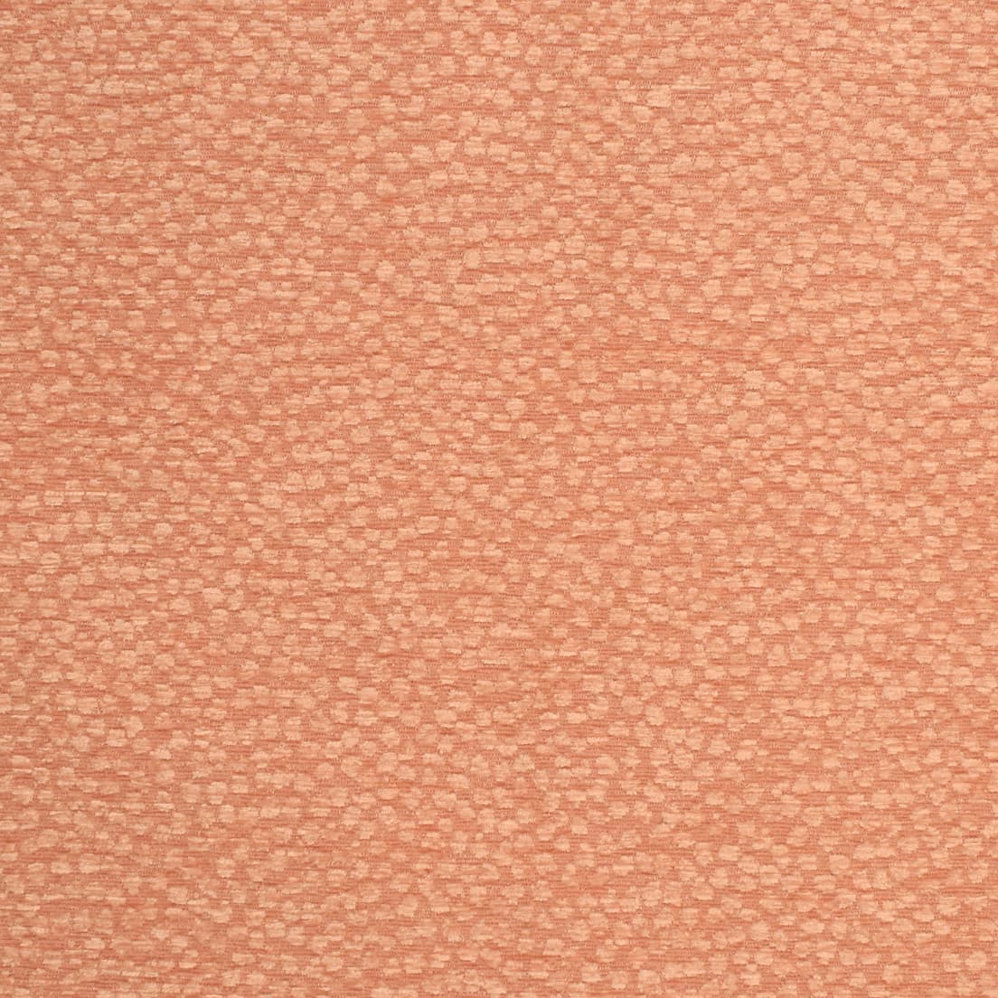 S3633 Coral