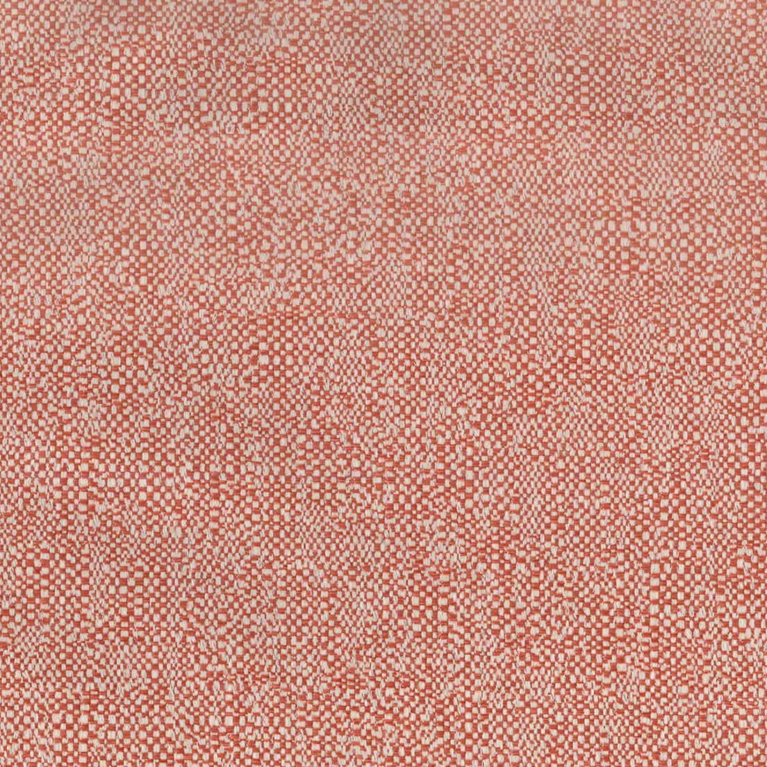 S5294 Coral