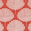 S5298 Coral