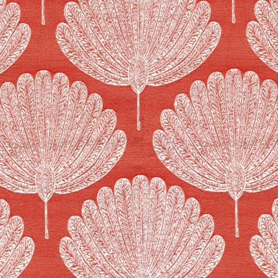 S5298 Coral