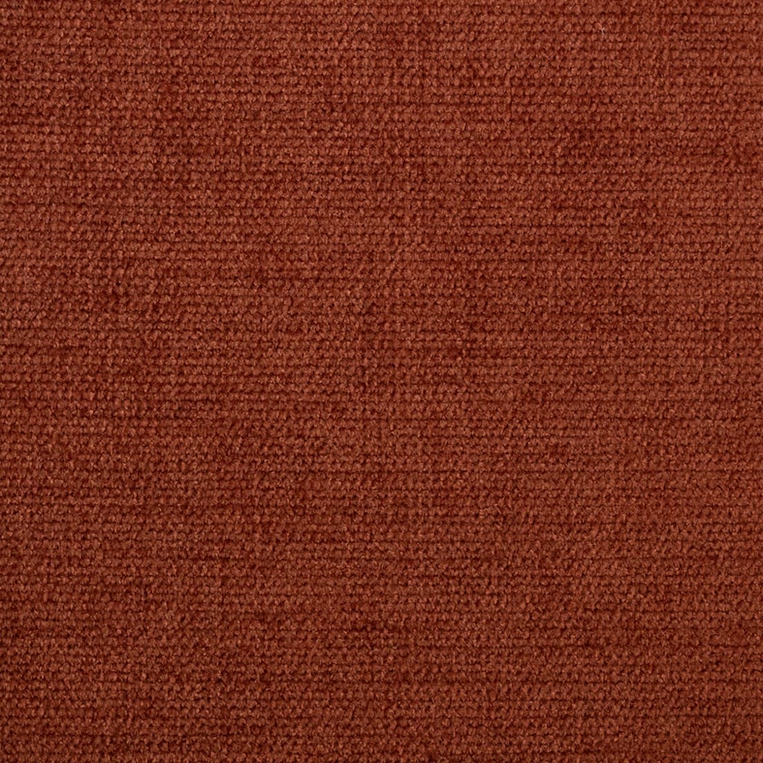 S5998 Russet