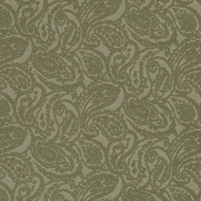 D3584 Olive Paisley