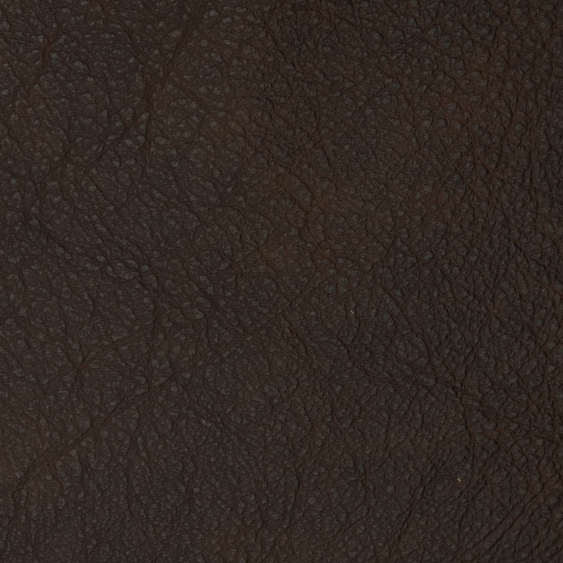 F2099 Dark Chocolate