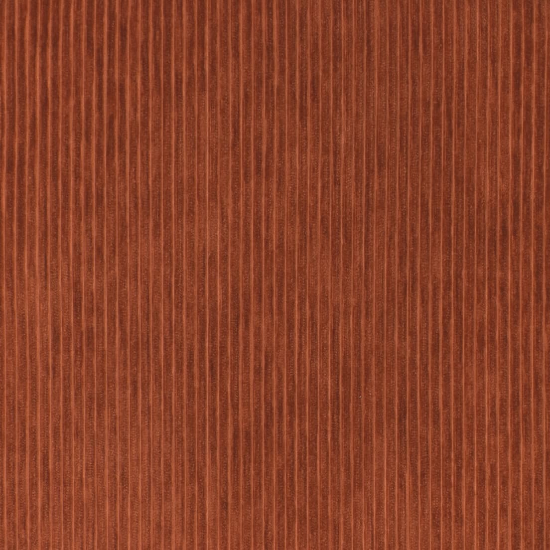 S3558 Paprika